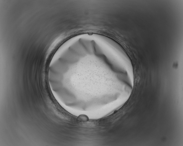 X0000116760102201001071203