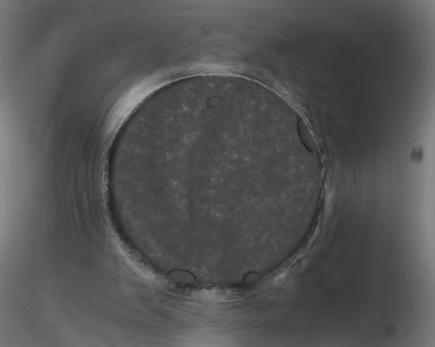 X0000116760103201001071203