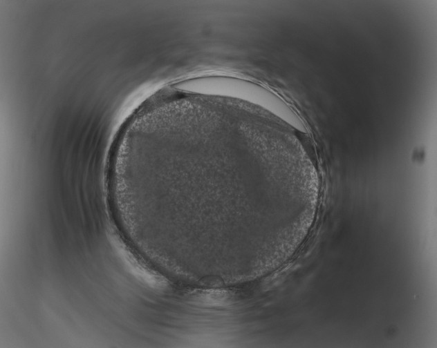 X0000116760104201001071203