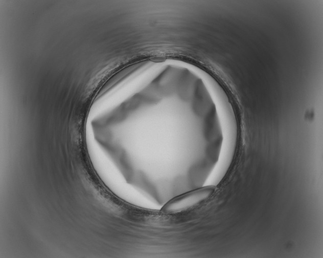 X0000116760105201001071203