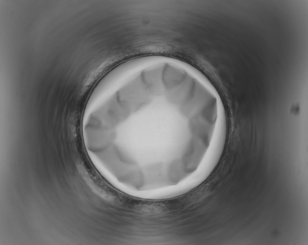 X0000116760106201001071203