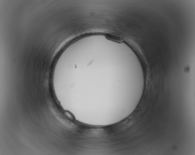 X0000116760108201001071203