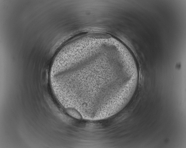 X0000116760109201001071203