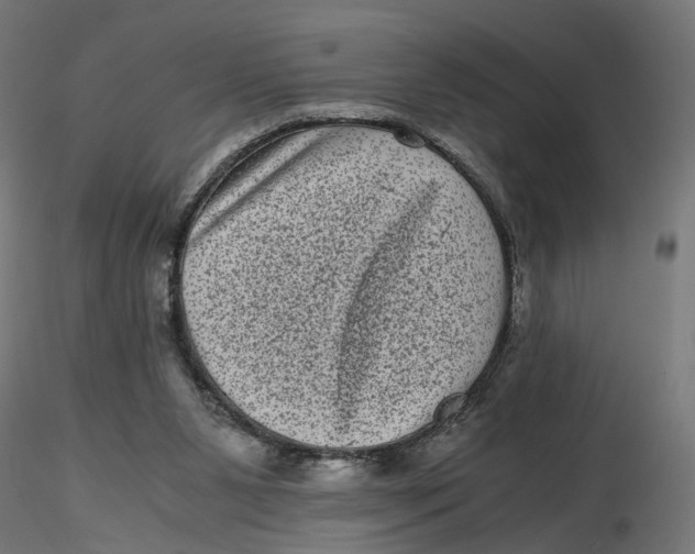 X0000116760111201001071203