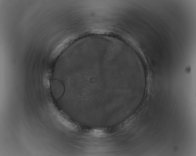 X0000116760114201001071203