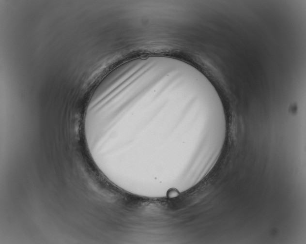 X0000116760115201001071203