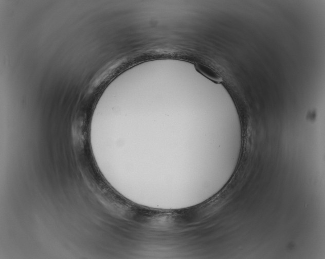 X0000116760116201001071203