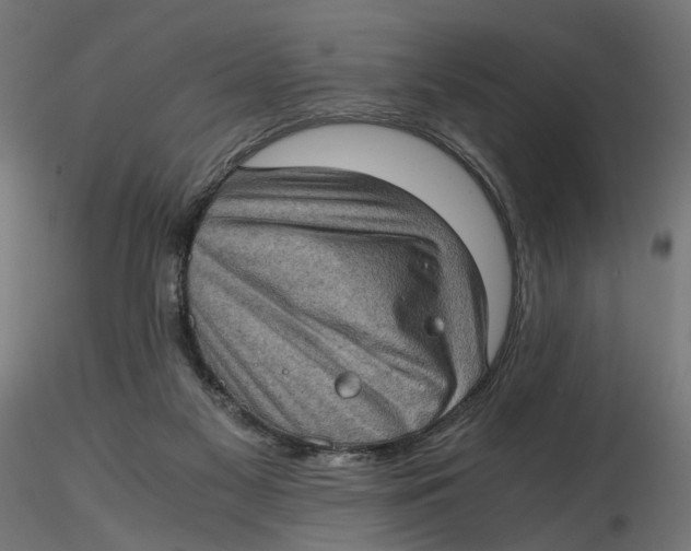 X0000116760117201001071203