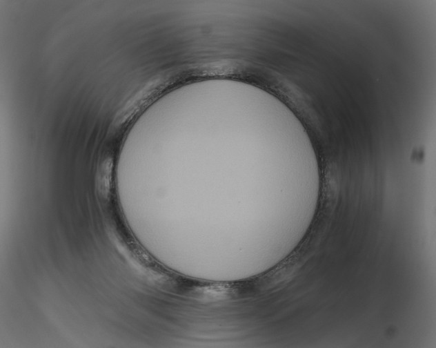 X0000116760118201001071203