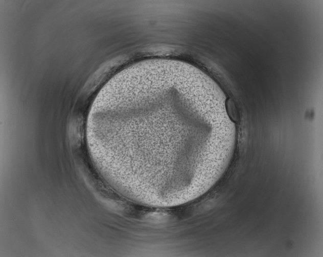 X0000116760119201001071203