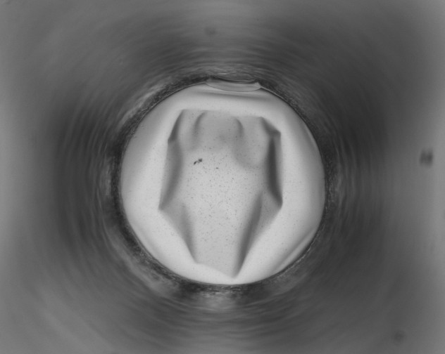 X0000116760120201001071203