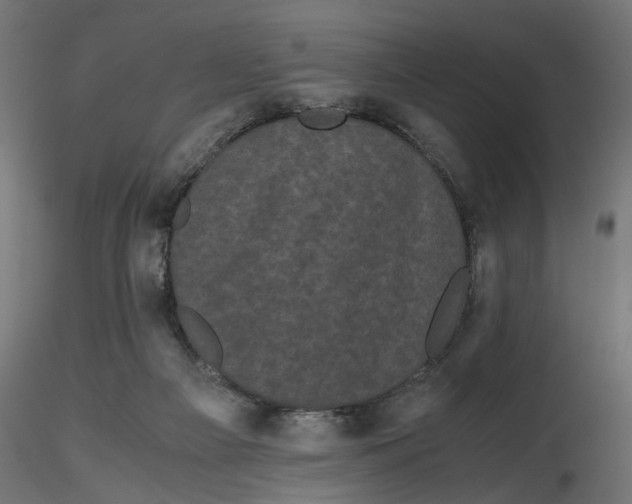 X0000116760121201001071203