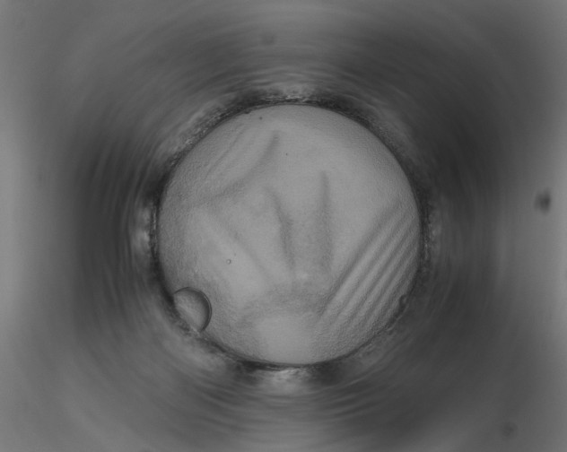 X0000116760122201001071203