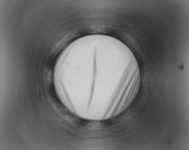 X0000116760123201001071203