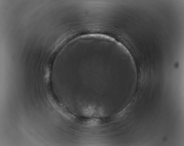 X0000116760124201001071203