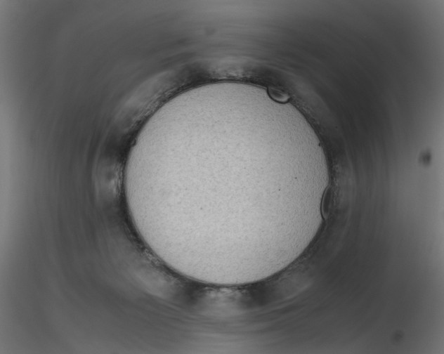 X0000116760125201001071203