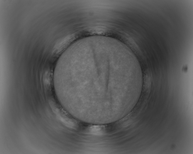 X0000116760126201001071203