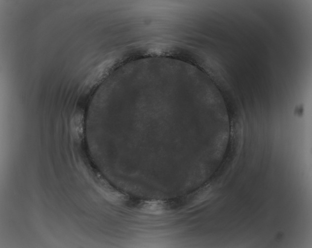 X0000116760127201001071203