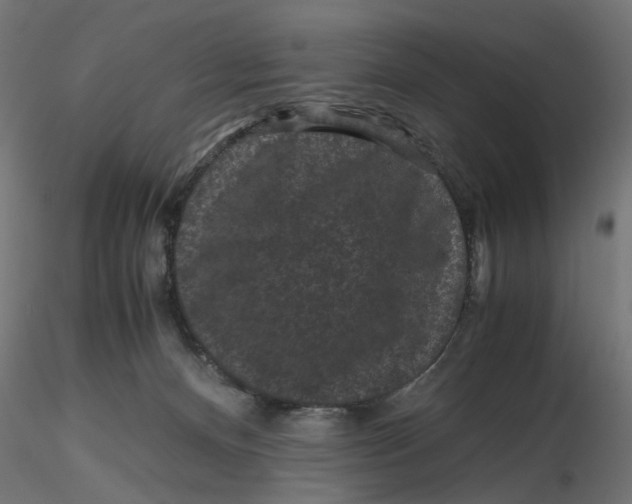 X0000116760128201001071203