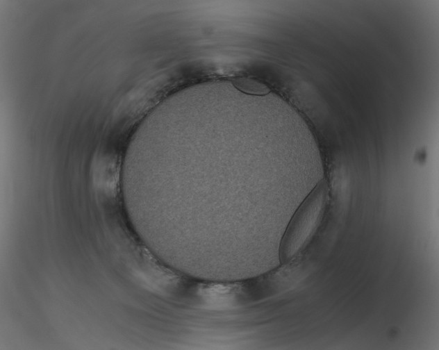 X0000116760129201001071203