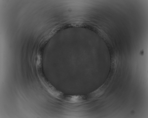 X0000116760130201001071203