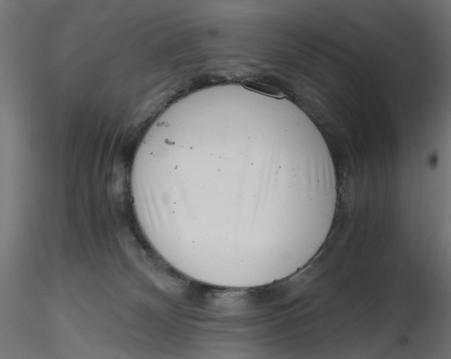 X0000116760132201001071203