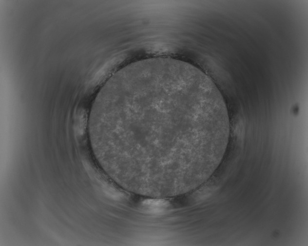 X0000116760133201001071203