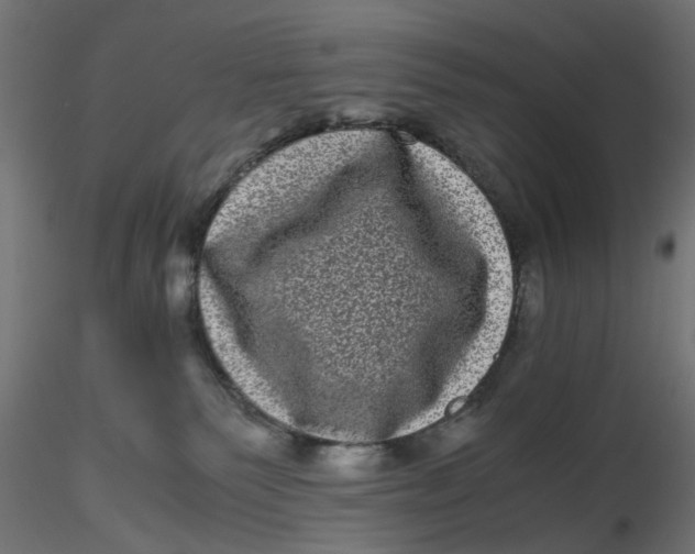 X0000116760135201001071203