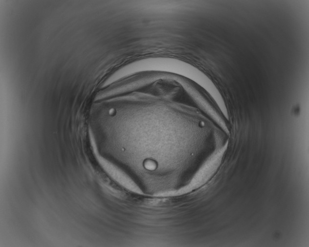 X0000116760136201001071203