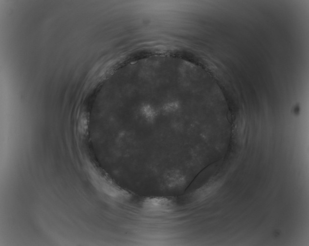 X0000116760137201001071203