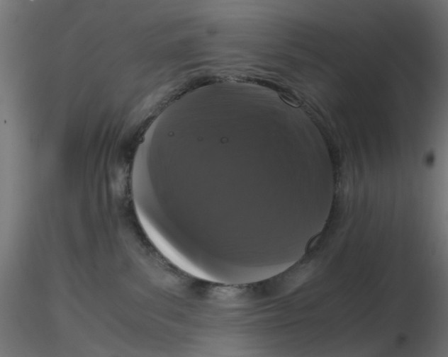 X0000116760139201001071203