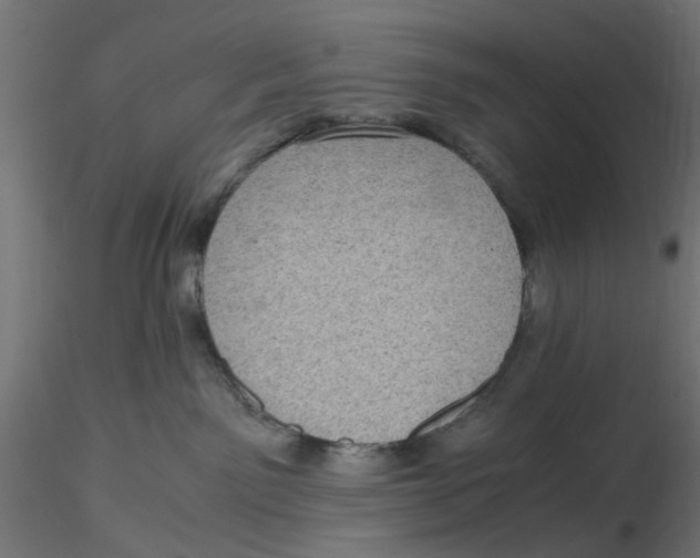 X0000116760141201001071203