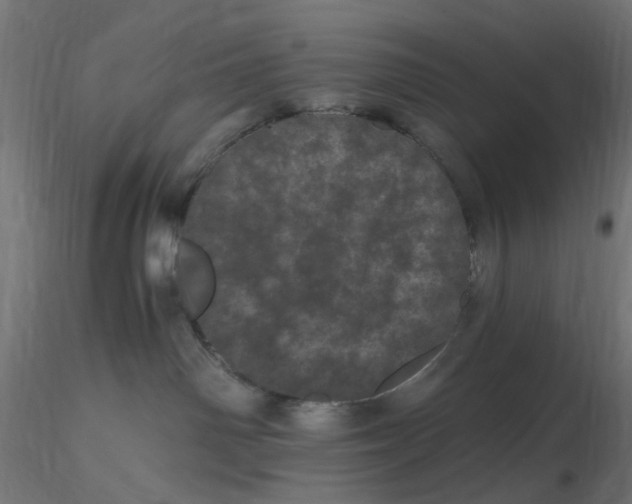 X0000116760142201001071203