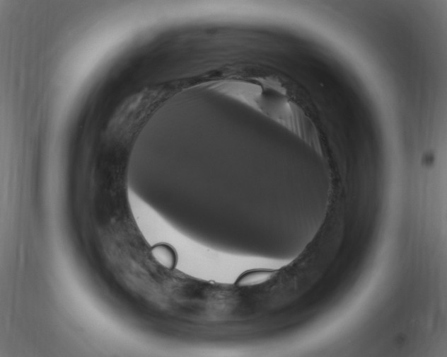 X0000116760143201001071203