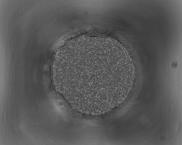 X0000116760144201001071203