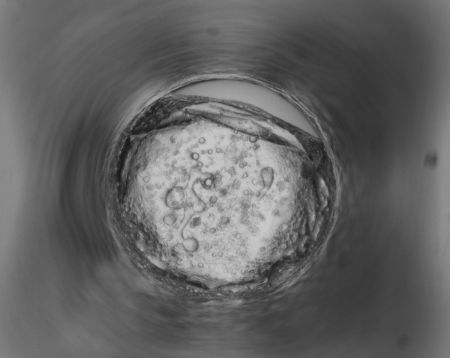 X0000116760145201001071202