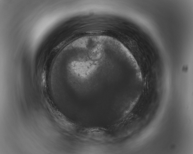 X0000116760146201001071202