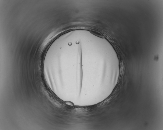 X0000116760150201001071202