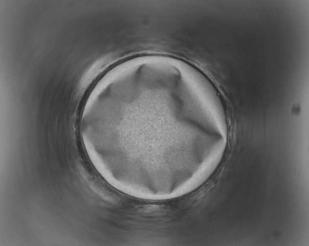 X0000116760151201001071202