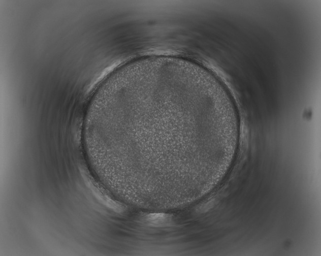 X0000116760153201001071202