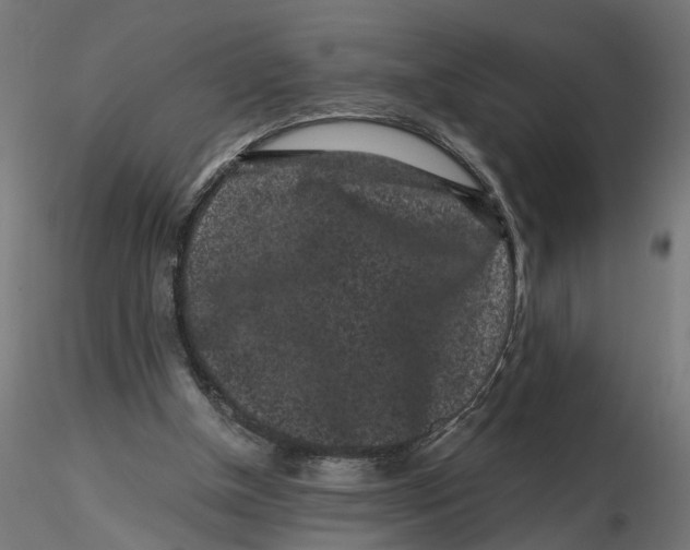 X0000116760154201001071202