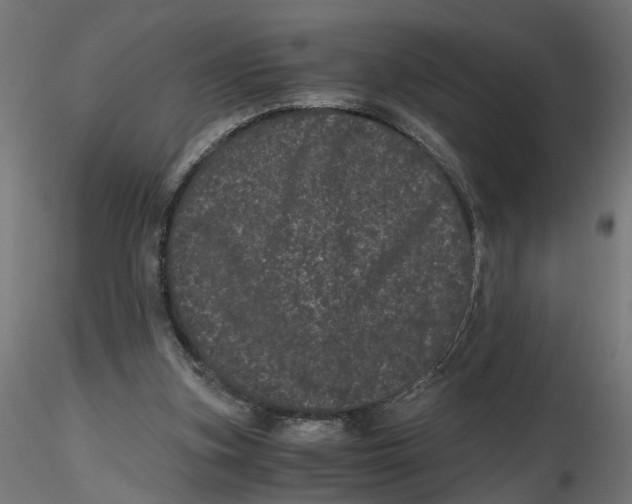 X0000116760155201001071202