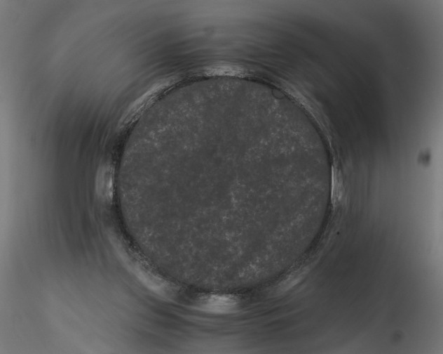 X0000116760157201001071202