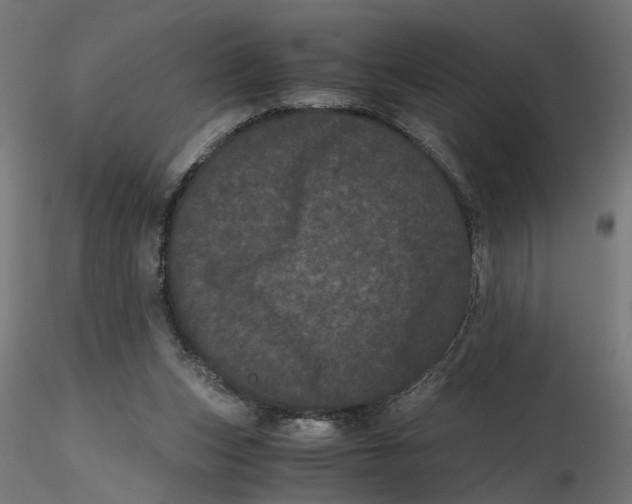 X0000116760159201001071202