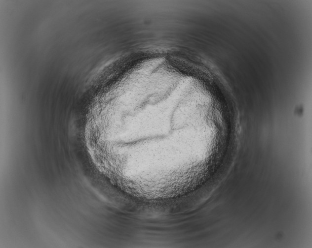 X0000116760161201001071202