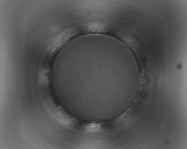 X0000116760162201001071202