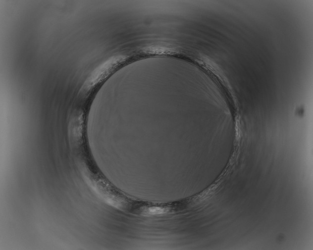 X0000116760163201001071202