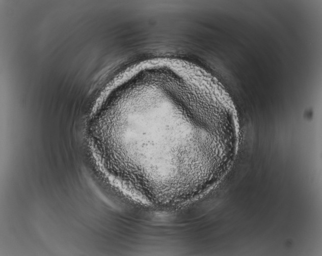 X0000116760165201001071202