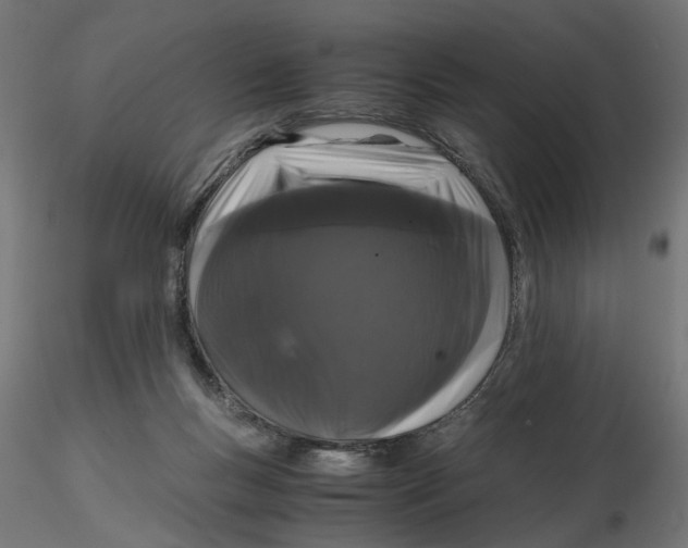 X0000116760167201001071203