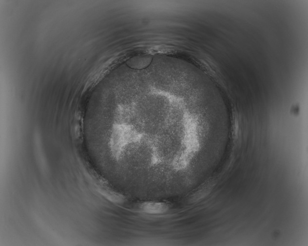 X0000116760169201001071203